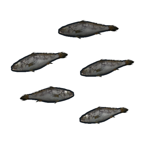 Пескари