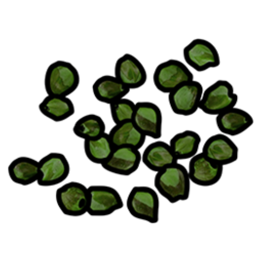 Green Berry Seed
