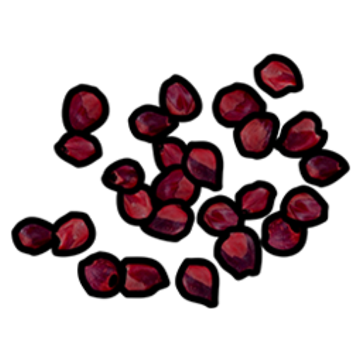 Семена красной ягоды