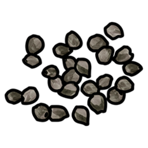 White Berry Seed